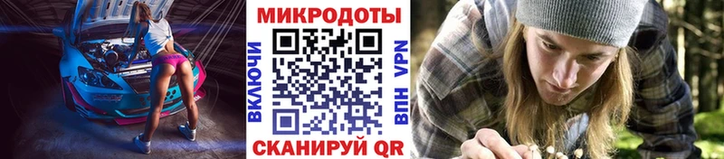 где купить наркотик  Бор  Псилоцибиновые грибы GOLDEN TEACHER 