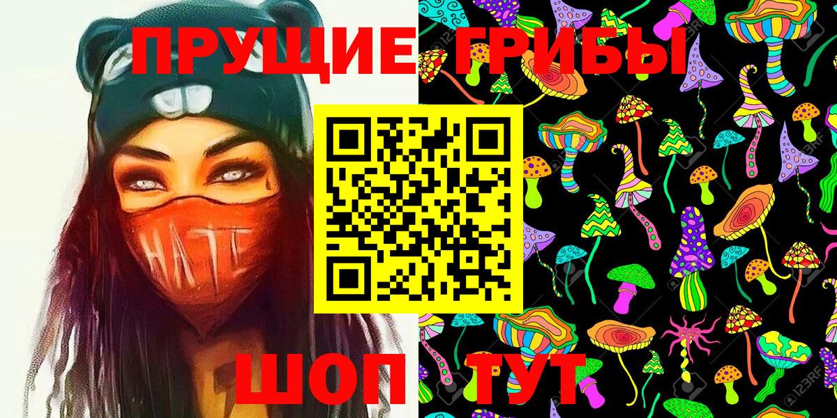 Бор  Псилоцибиновые грибы GOLDEN TEACHER  Вход с VPN 